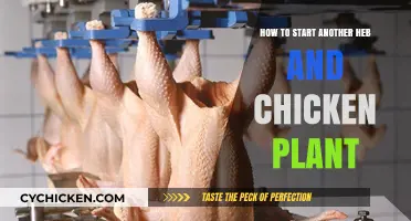 Launching a Successful Heb and Chicken Processing Plant: A Comprehensive Guide