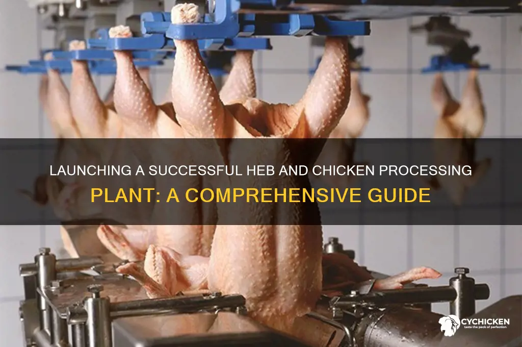 how to start another heb and chicken plant