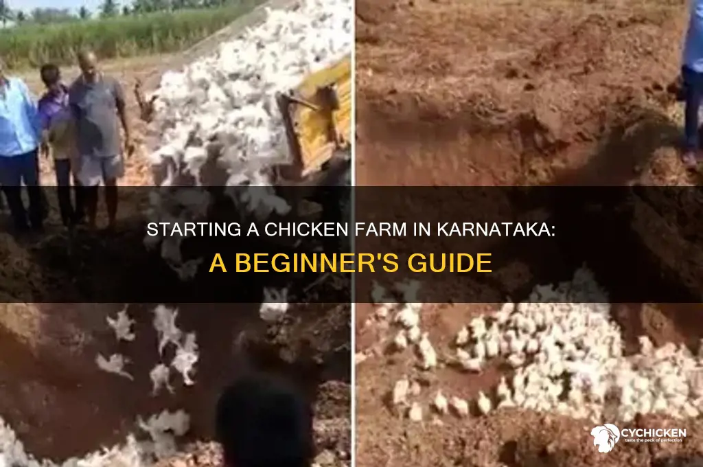 how to start chicken farm in karnataka