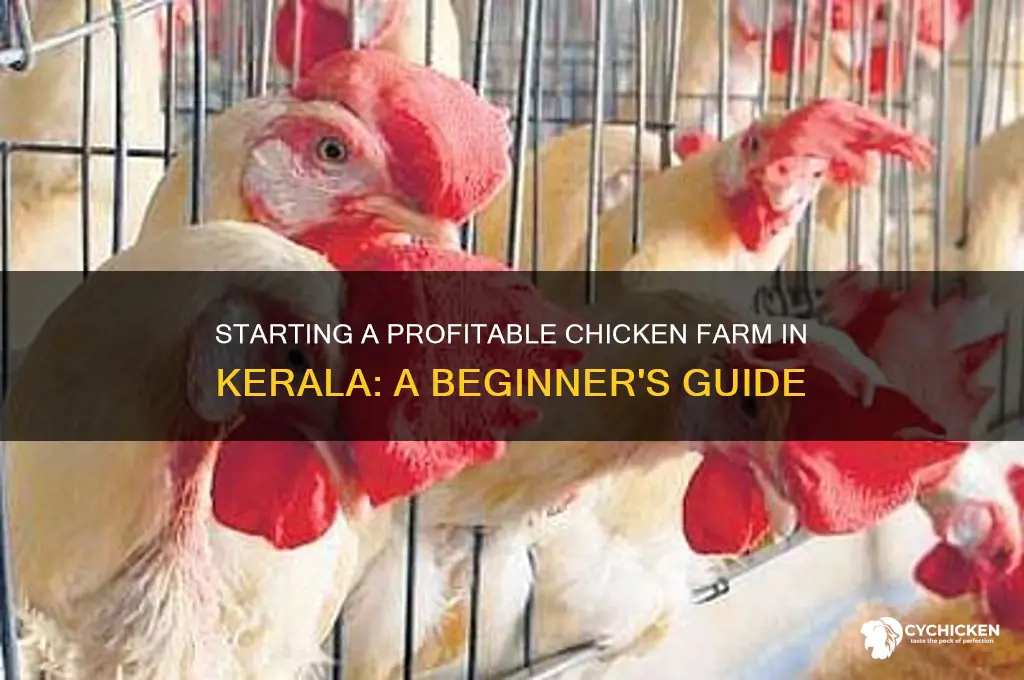how to start chicken farm in kerala