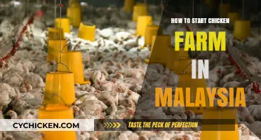 Starting a Profitable Chicken Farm in Malaysia: A Beginner's Guide
