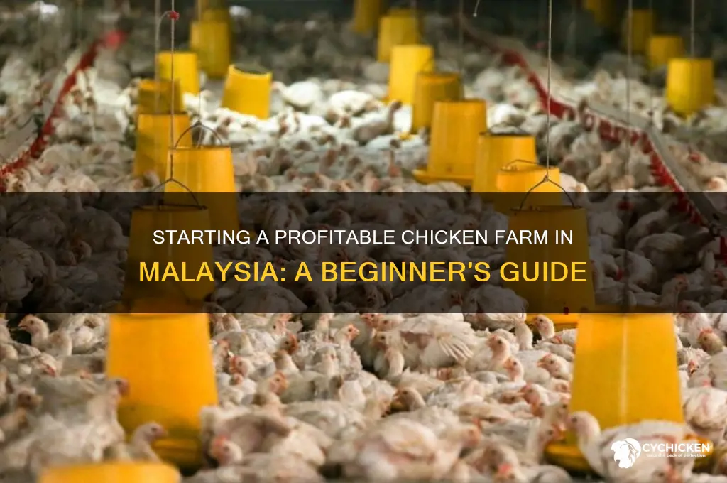 how to start chicken farm in malaysia