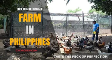 Starting a Profitable Chicken Farm in the Philippines: A Beginner's Guide