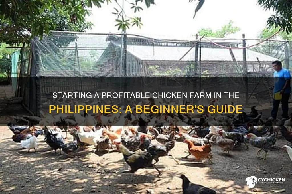 how to start chicken farm in philippines
