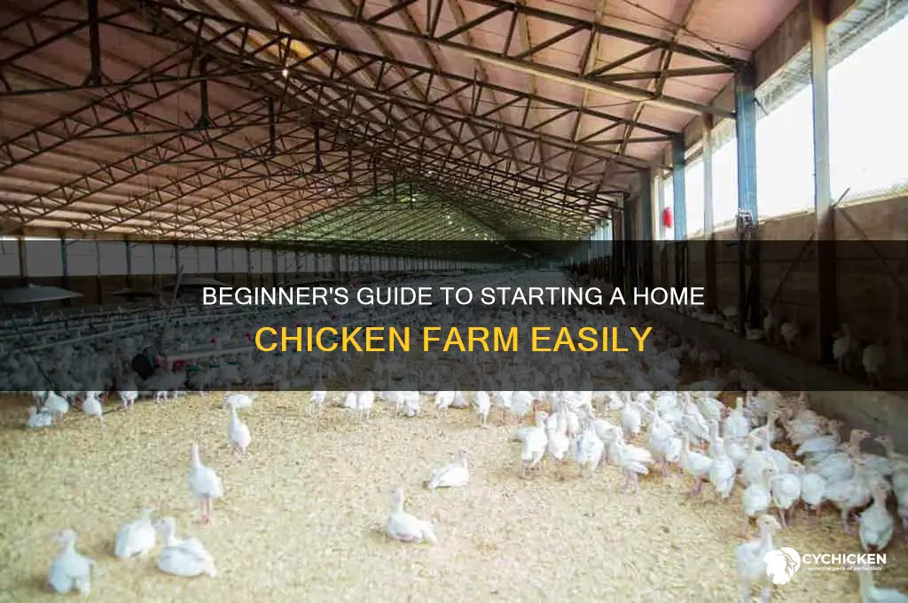 how to start chicken farming at home