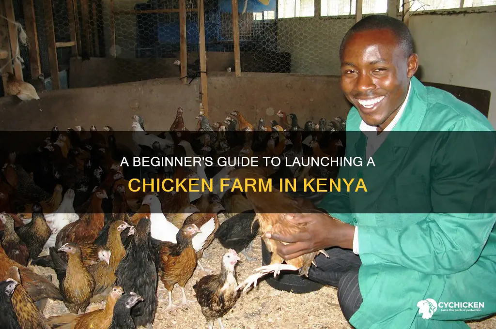 how to start chicken farming in kenya