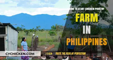 Starting a Chicken Poultry Farm in the Philippines: A Beginner's Guide