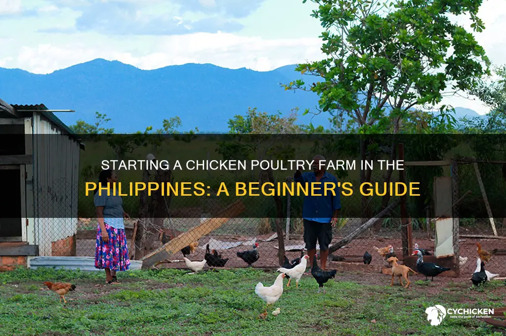 how to start chicken poultry farm in philippines