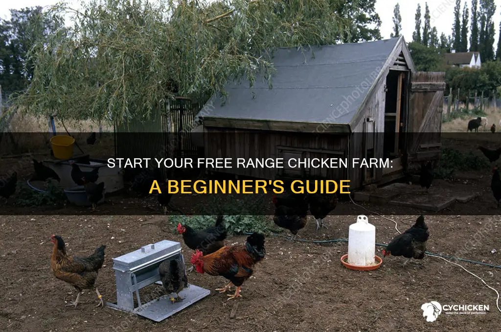 how to start free range chicken farm