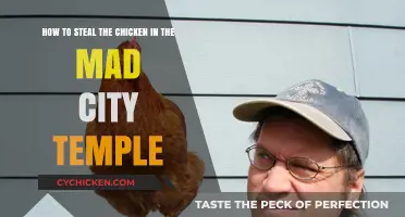 Stealing Chicken in Mad City Temple: Tips and Tricks