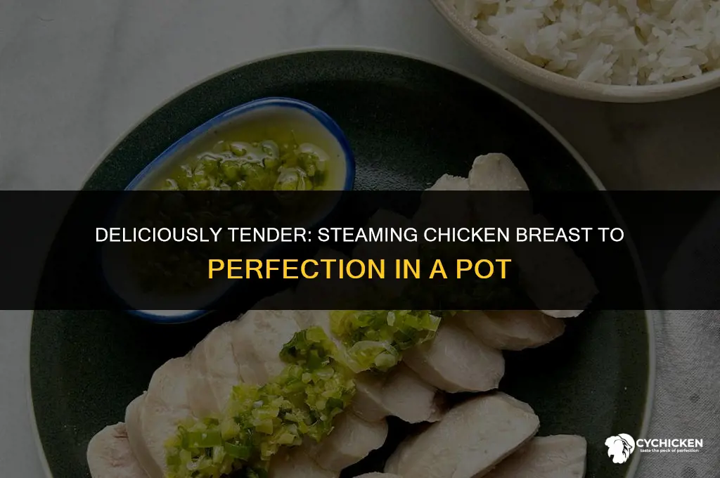how to steam chicken breast in a pot