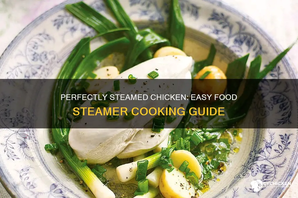 how to steam chicken in a food steamer