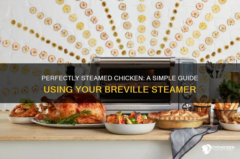 how to steam chicken in breville steamer