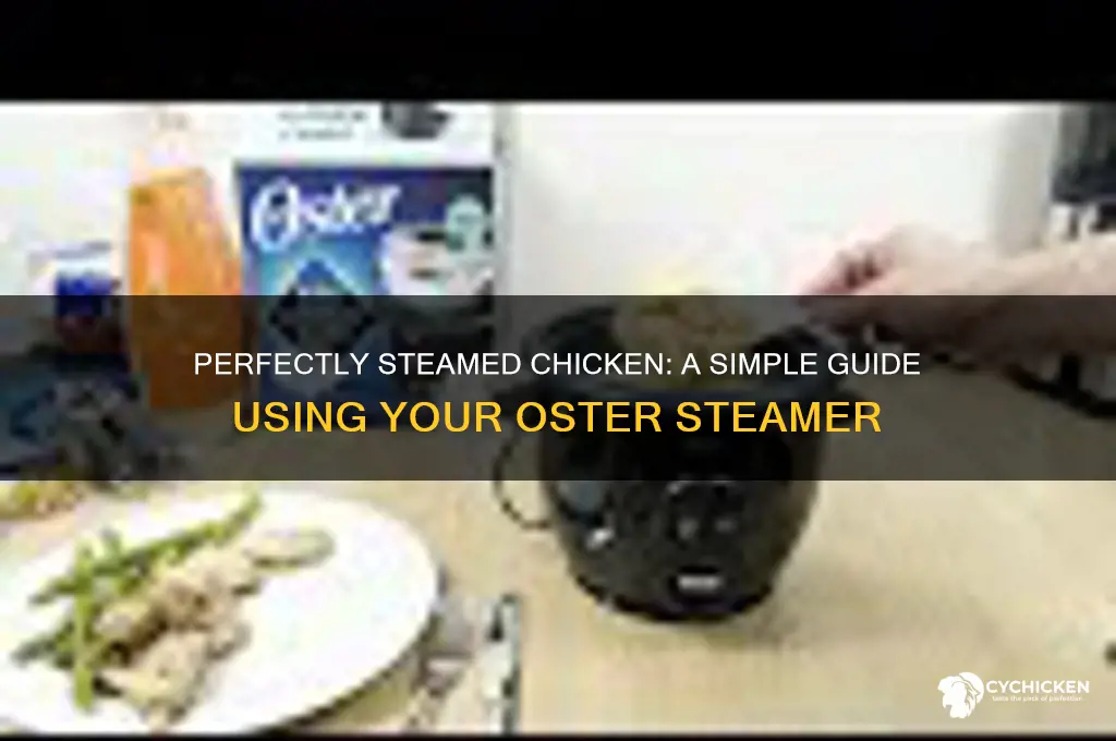 how to steam chicken in oster steamer