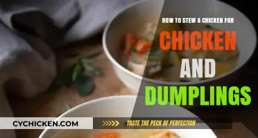 The Perfect Chicken Stew for Hearty Chicken Dumplings