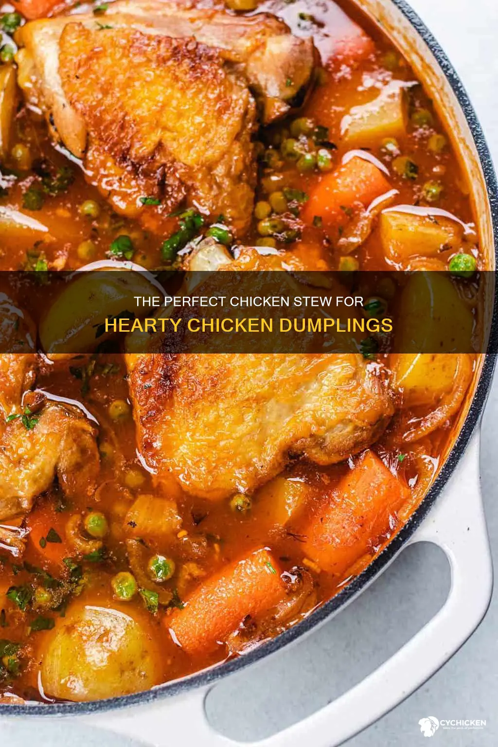 how to stew a chicken for chicken and dumplings