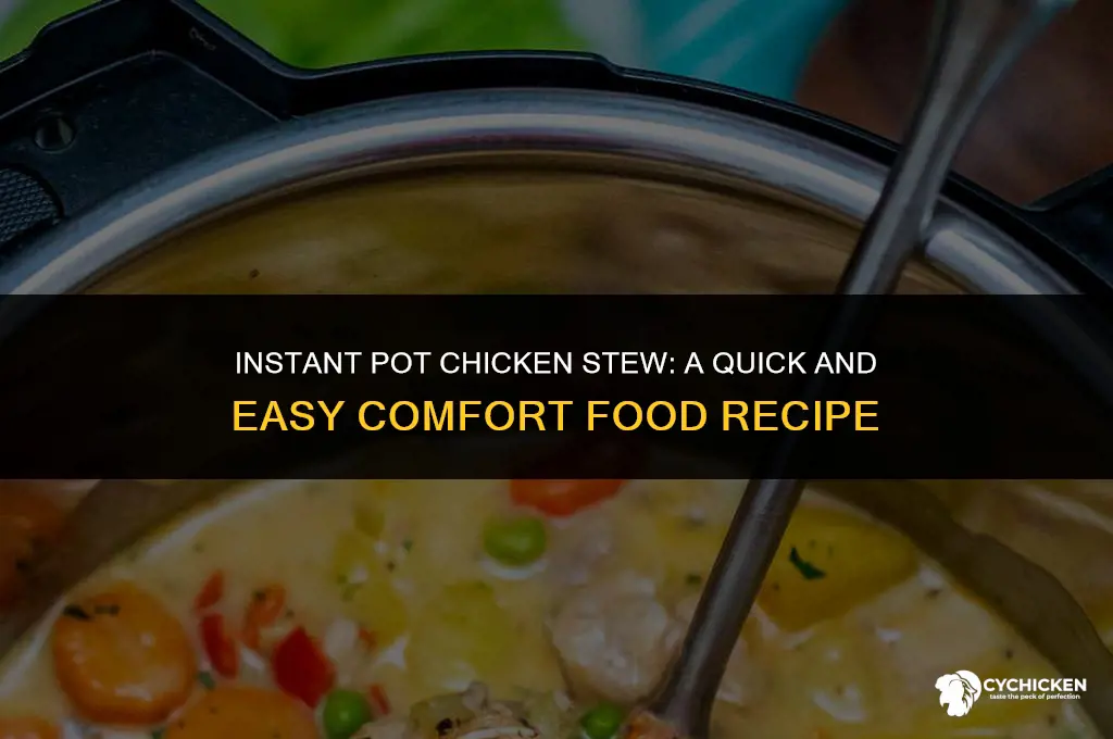 how to stew a chicken in instant pot
