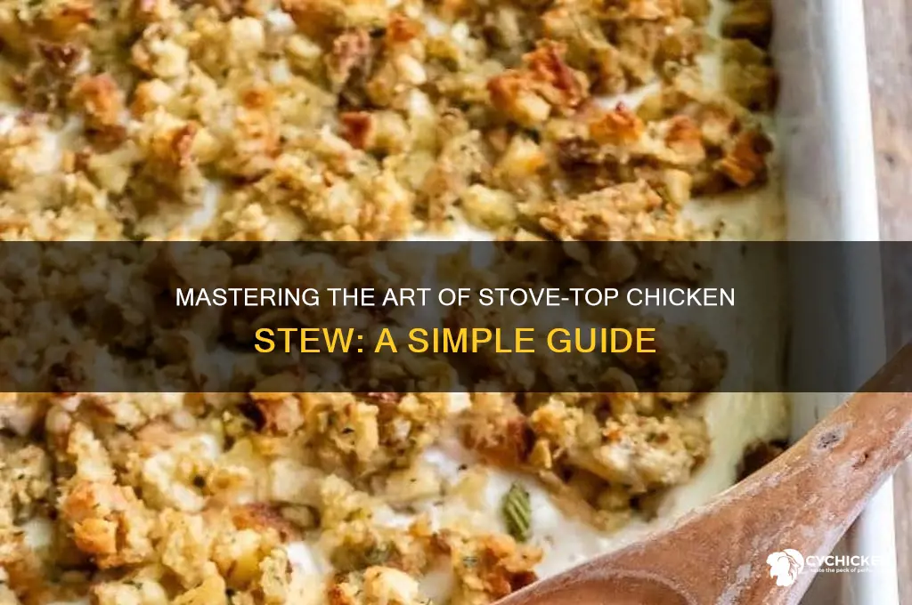 how to stew a chicken on the stove