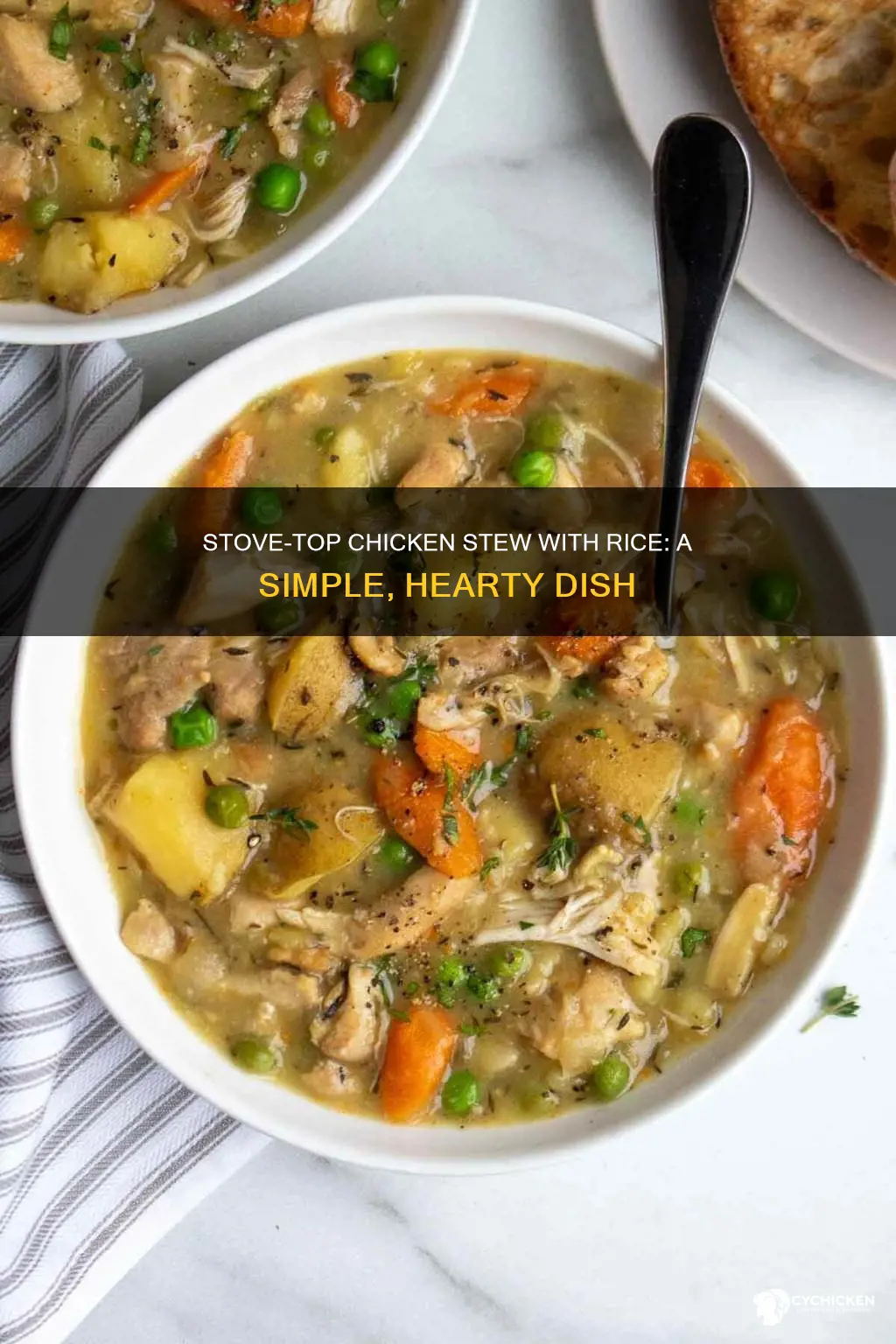 how to stew chicken on stove top with rice