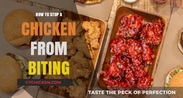 Prevent Chicken Biting: Effective Tips to Train Your Flock Gently