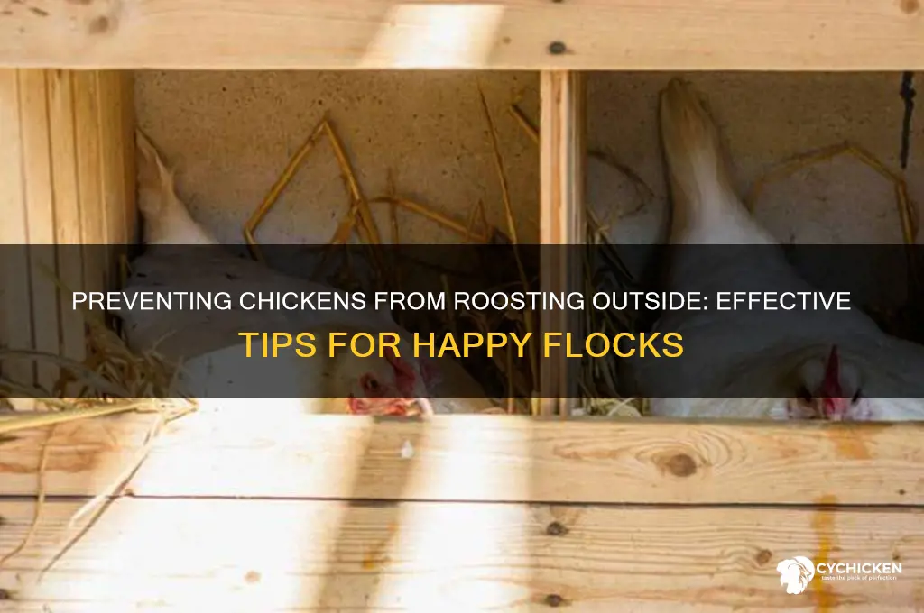 how to stop a chicken from roosting outside