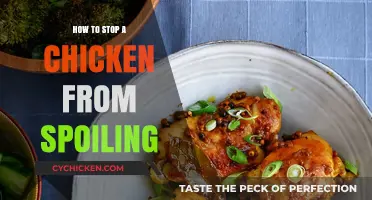 Prevent Chicken Spoilage: Essential Tips for Freshness and Food Safety