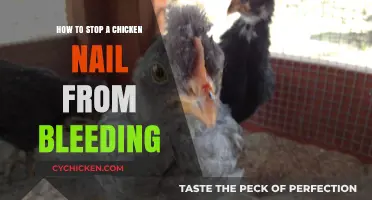 Quick Tips to Stop Chicken Nail Bleeding: A Simple Guide