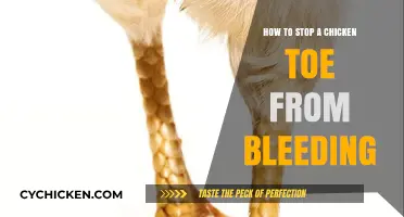Quick Tips to Stop Chicken Toe Bleeding: A Simple Guide