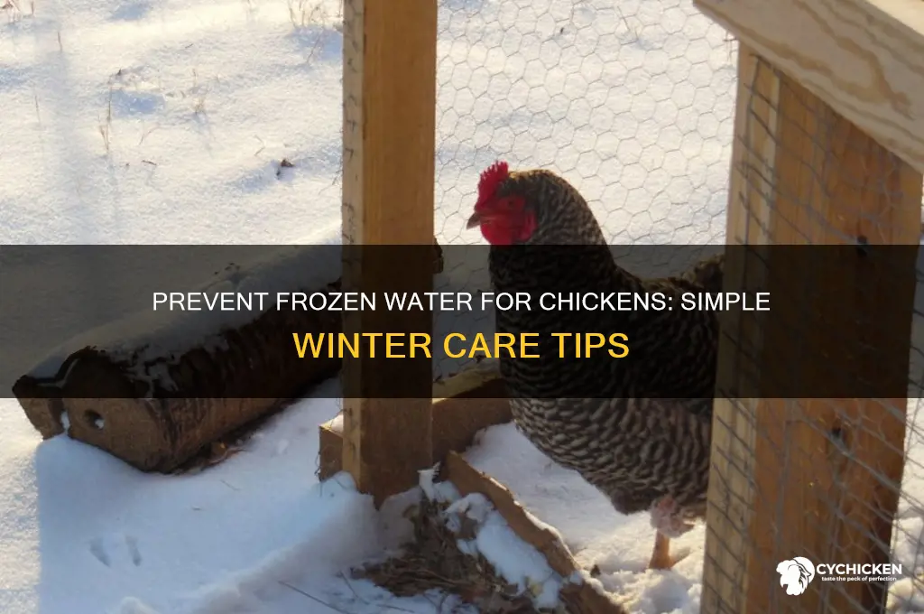 how to stop chicken drinking water freezing