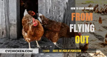 Preventing Chicken Escapes: Effective Tips to Keep Your Flock Grounded