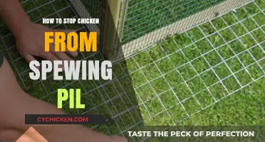 Prevent Chicken Mess: Stop Pil Spewing with These Simple Tips