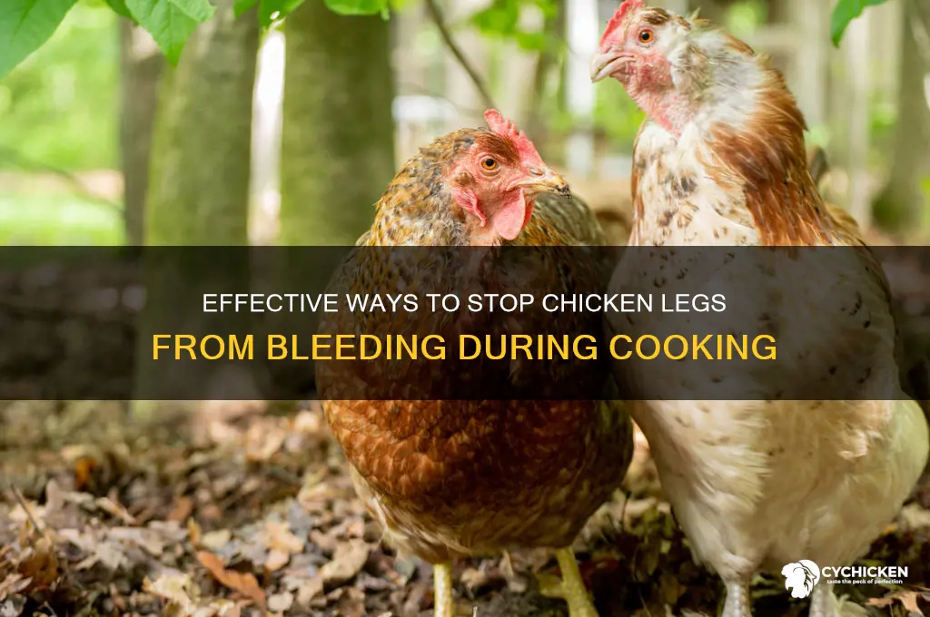 how to stop chicken legs from bleeding
