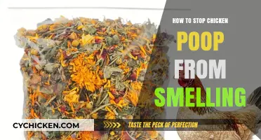 Effective Tips to Eliminate Chicken Poop Odor in Your Coop