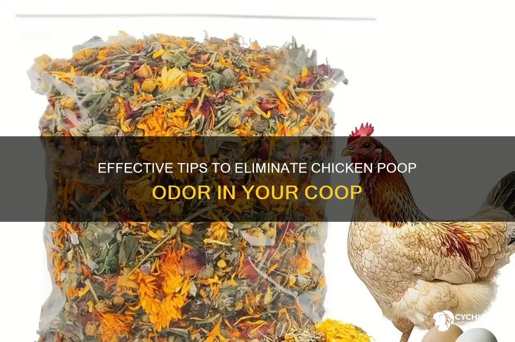 how to stop chicken poop from smelling