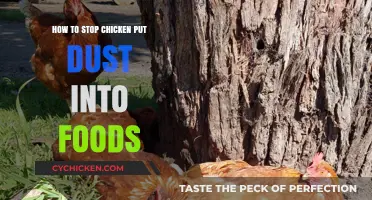 Prevent Chicken Feed Contamination: Tips to Keep Dust Out of Food