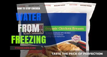Prevent Frozen Chicken Water: Simple Tips for Winter Coop Care