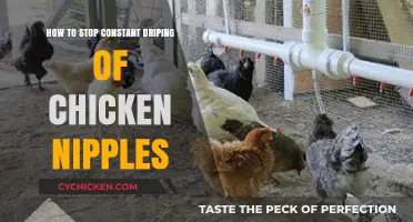 Fix Leaky Chicken Nipples: Stop Constant Dripping for Good