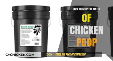 Effective Ways to Eliminate Chicken Poop Odor in Your Coop