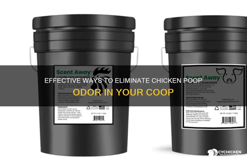 how to stop the smell of chicken poop