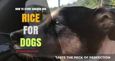 Safe and Nutritious Chicken and Rice Storage Tips for Dogs