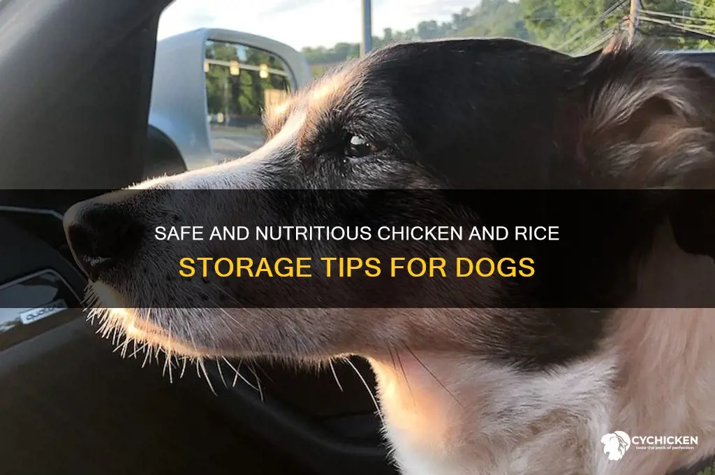 how to store chicken and rice for dogs