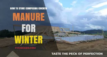 Winterizing Chicken Manure: Effective Storage Tips for Composting Success