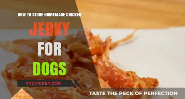 Safe and Tasty: Storing Homemade Chicken Jerky for Your Dog
