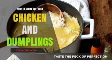Smart Tips for Storing Leftover Chicken and Dumplings Safely