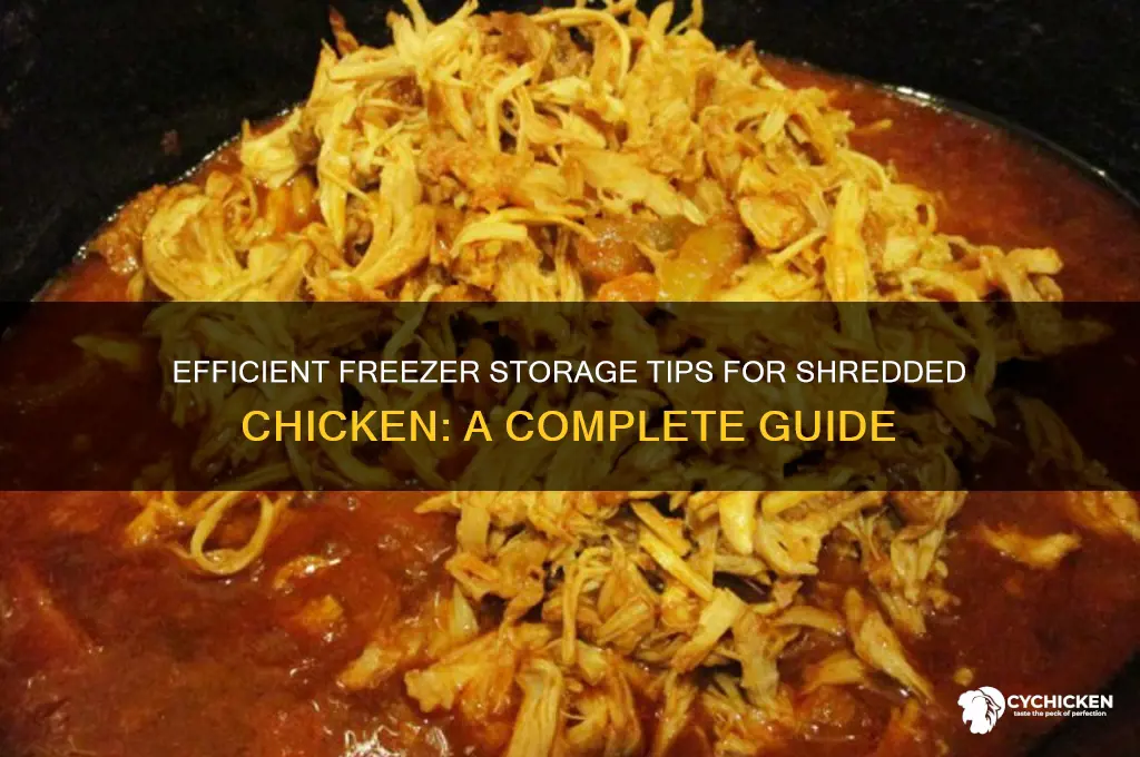 how to store shredded chicken in freezer