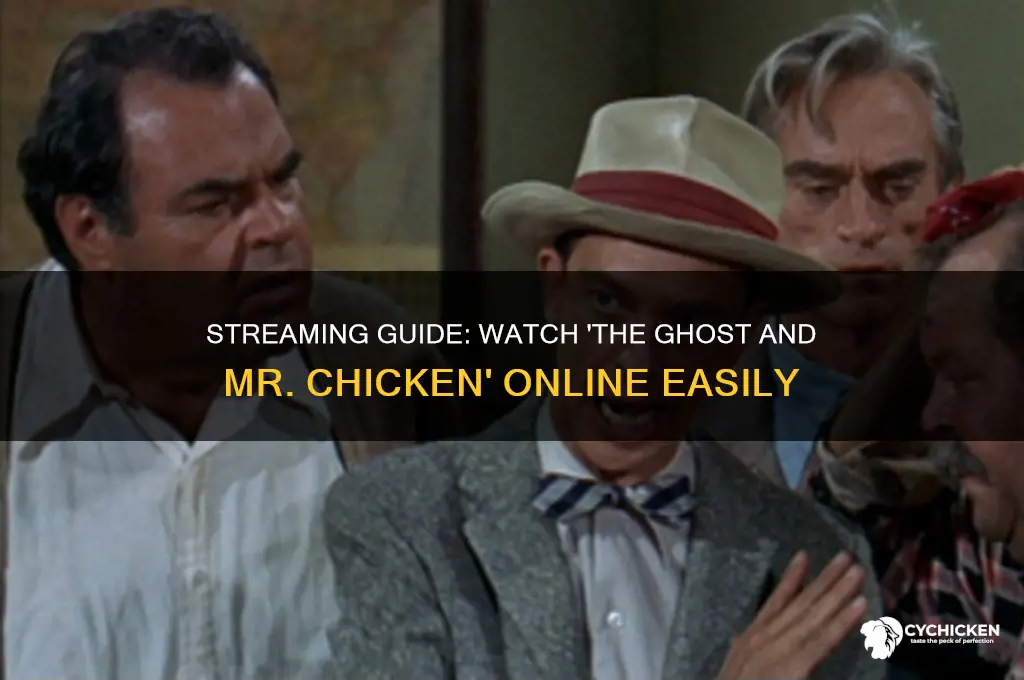 how to stream the ghost and mr chicken