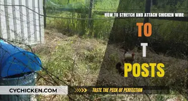 Stretching and Attaching Chicken Wire: T-Posts Guide