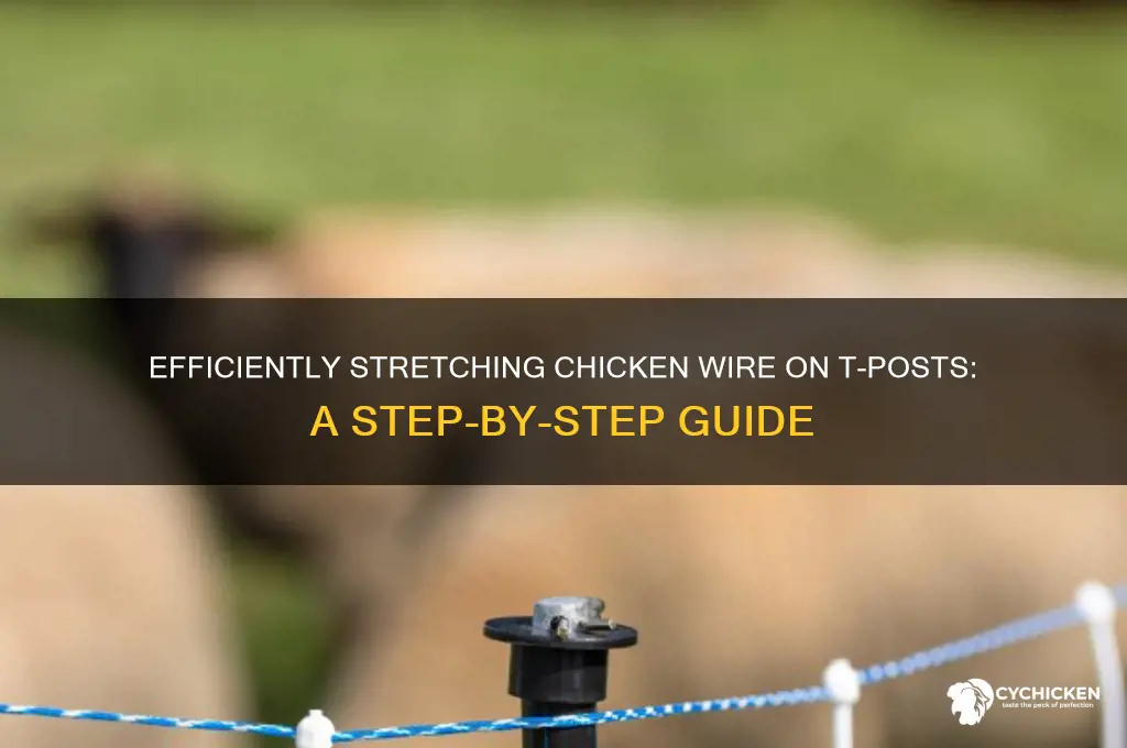 how to stretch chicken wire on t post