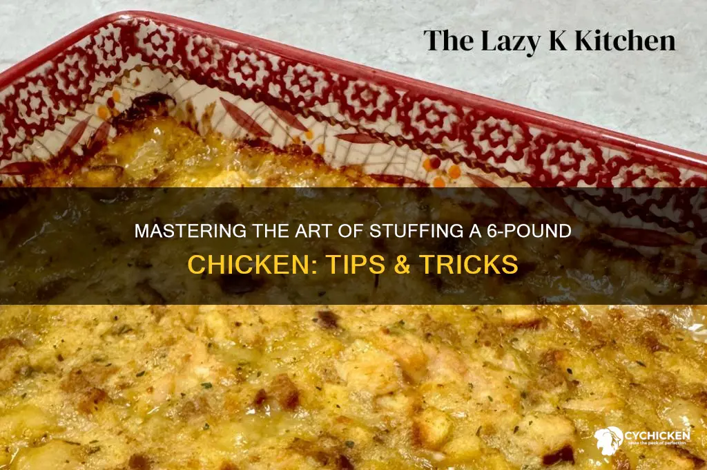 how to stuff a 6 lb chicken