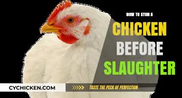 Humane Chicken Slaughter: Effective Stunning Techniques for Quick and Ethical Processing